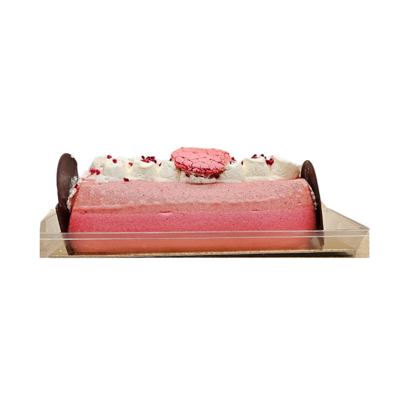 BUCHE GLACEE ARTISANALE PECHE DE VIGNE 480G