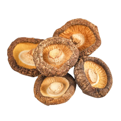 CHAMPIGNON SHITAKE