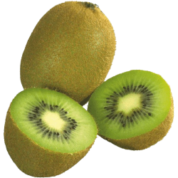 KIWI