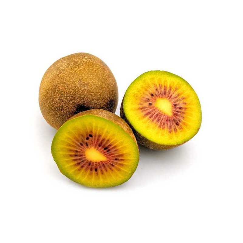 KIWI ROUGE