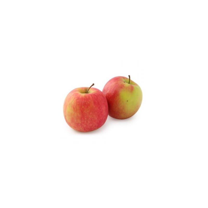 POMME CRIPPS PINK