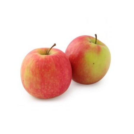 POMME CRIPPS PINK