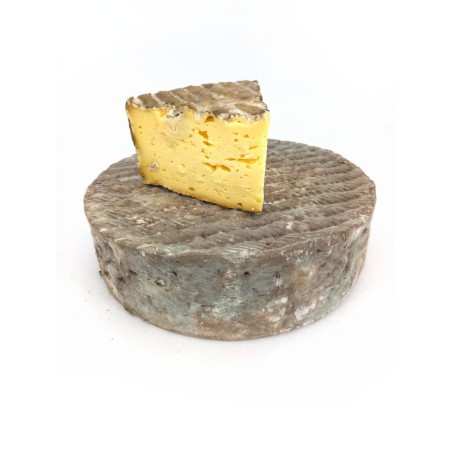 TOMME BOURNETTE