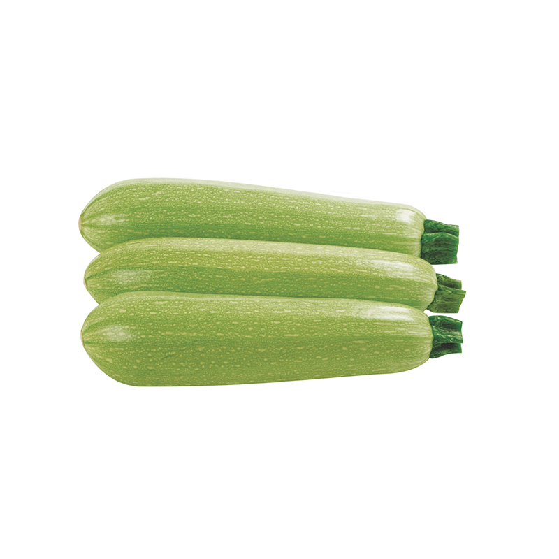 COURGETTE BLANCHE