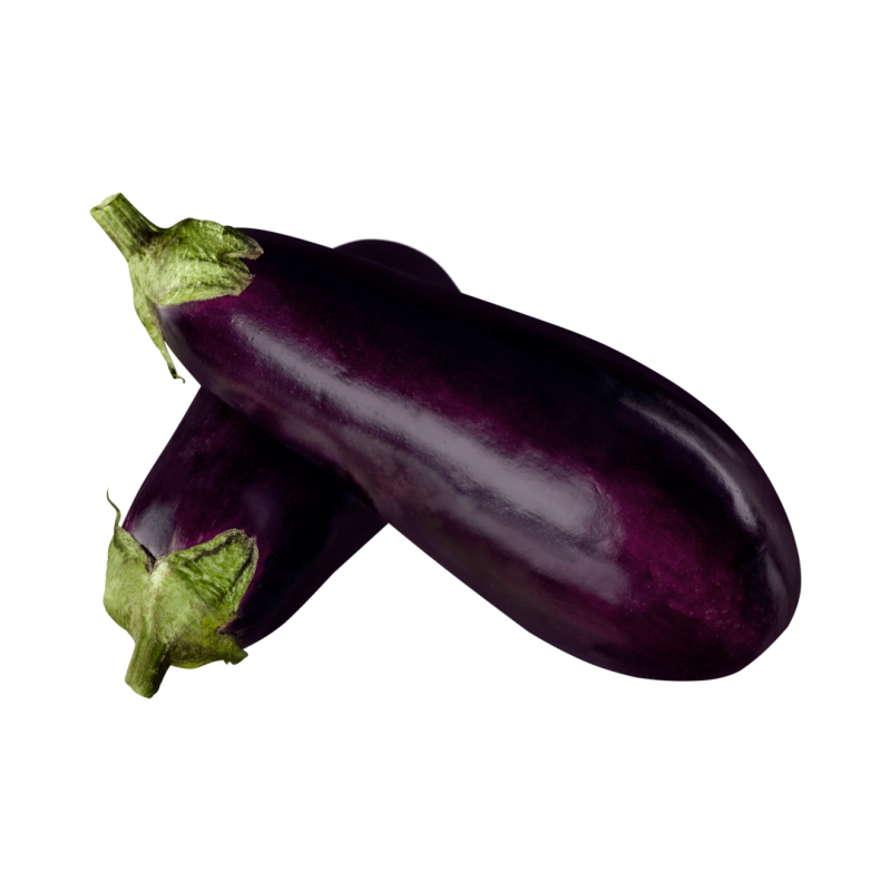 AUBERGINE