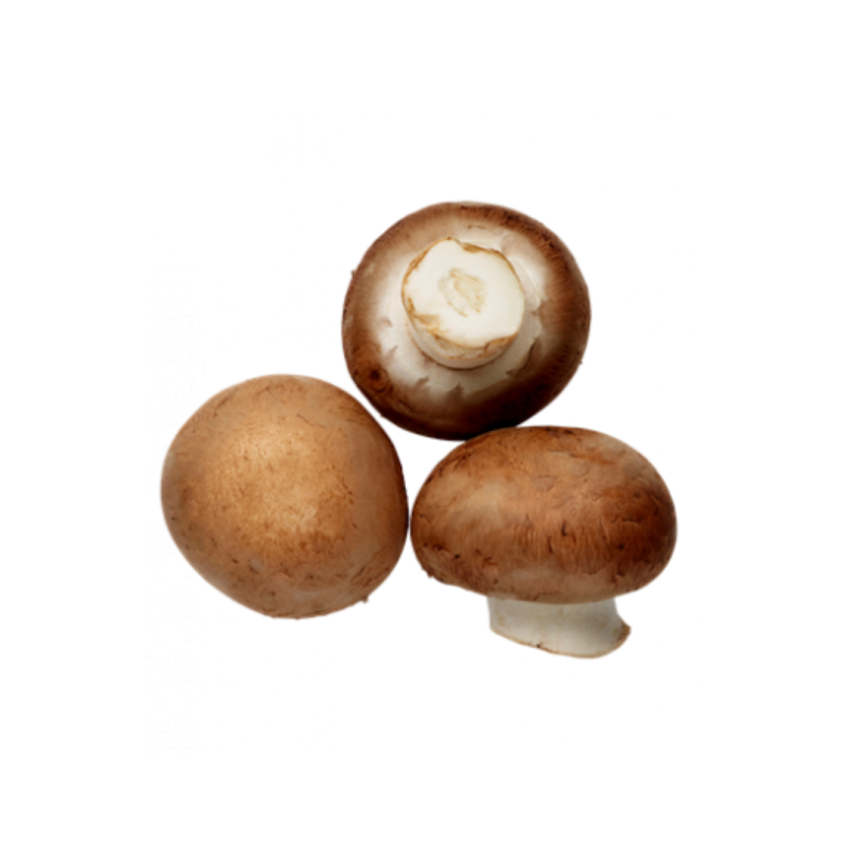 CHAMPIGNON DE PARIS