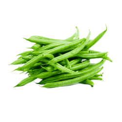 HARICOT VERT