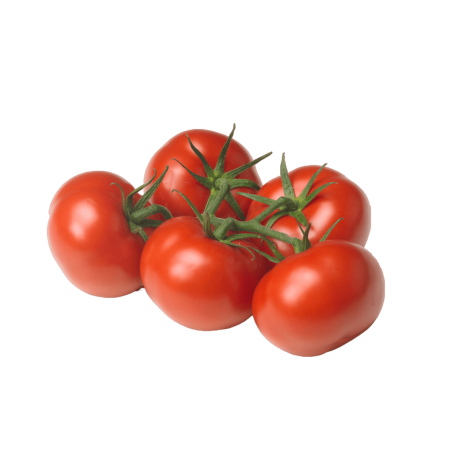 TOMATE GRAPPE