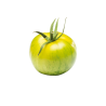 TOMATE GREEN ZEBRA