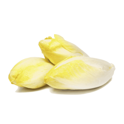 ENDIVE