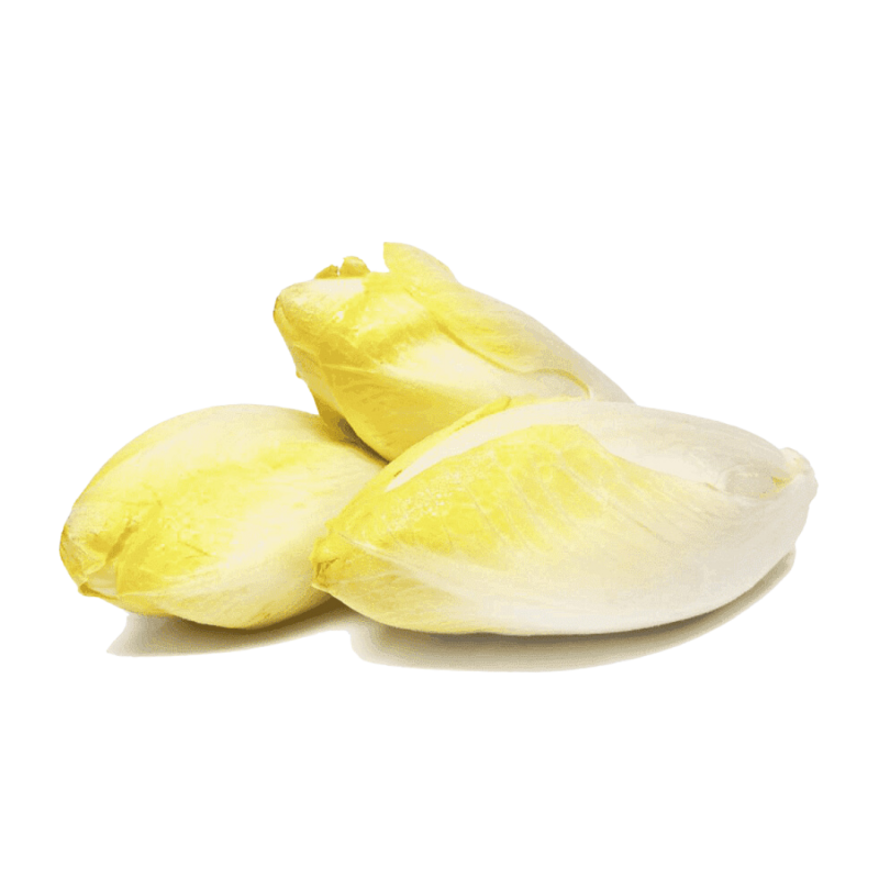 ENDIVE