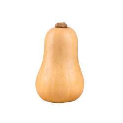 butternut